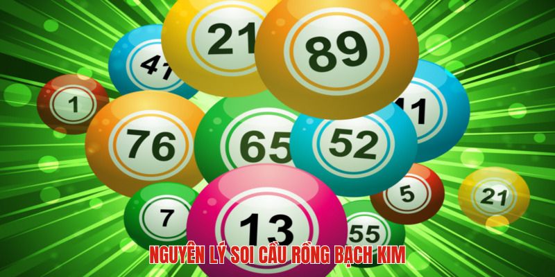 Nguyên lý của soi cầu rồng bạch kim F168