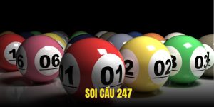 soi-cau-247